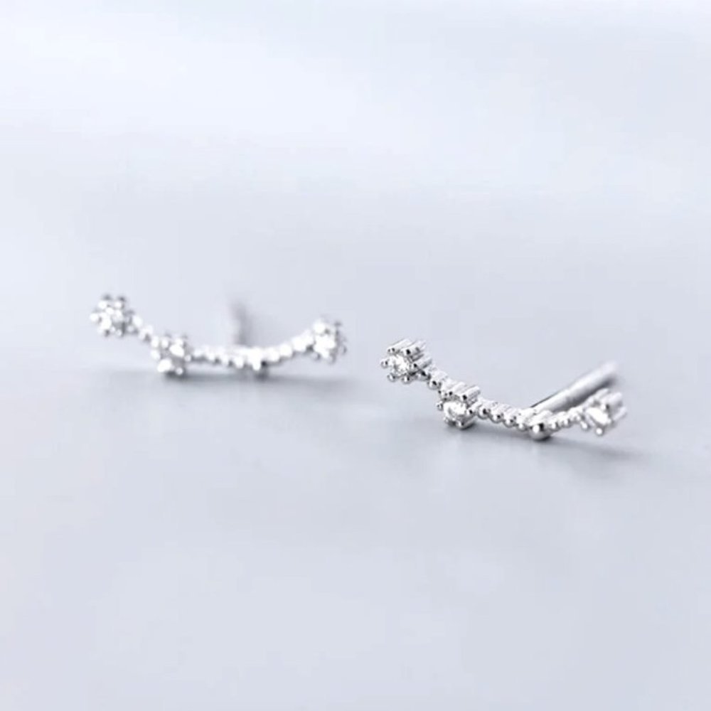Pisces Constellation Star Galaxy Space Astrology Zodiac Sign Silver Tiny Earring